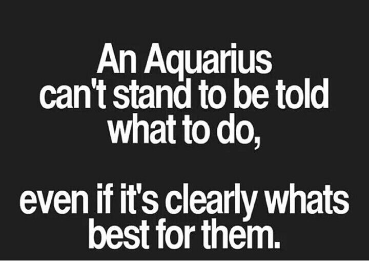 IMG_20160228_173309.jpg image